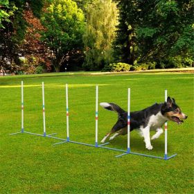 Dog Outdoor Exercise Training Set ( Amazon Shipping)Prohibited by WalMart