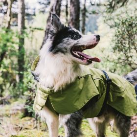 Dog Coats Small Waterproof,Warm Outfit Clothes Dog Jackets Small,Adjustable Drawstring Warm And Cozy Dog Sport Vest-(Green size XL)