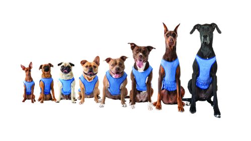 GF Pet Elasto-Fit Ice Vest - Blue (size: XL)